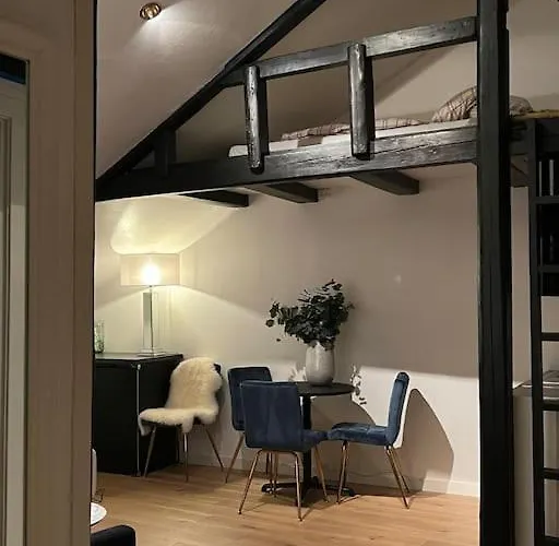 Beautiful Centre With Balcony * אוסלו